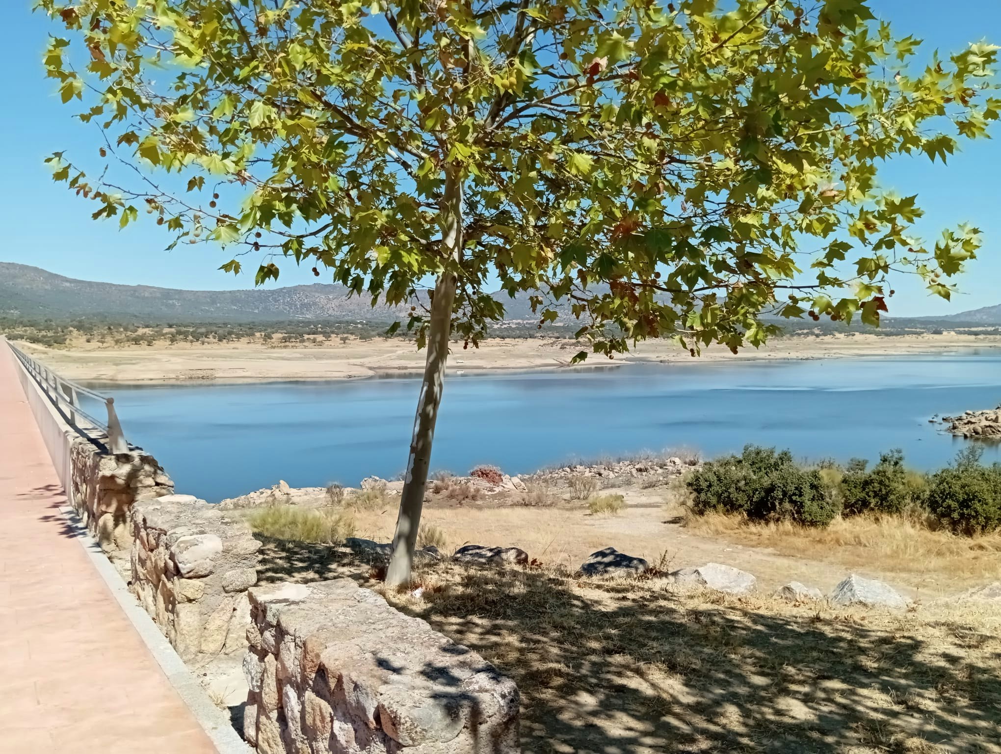 Presa del Búrdalo