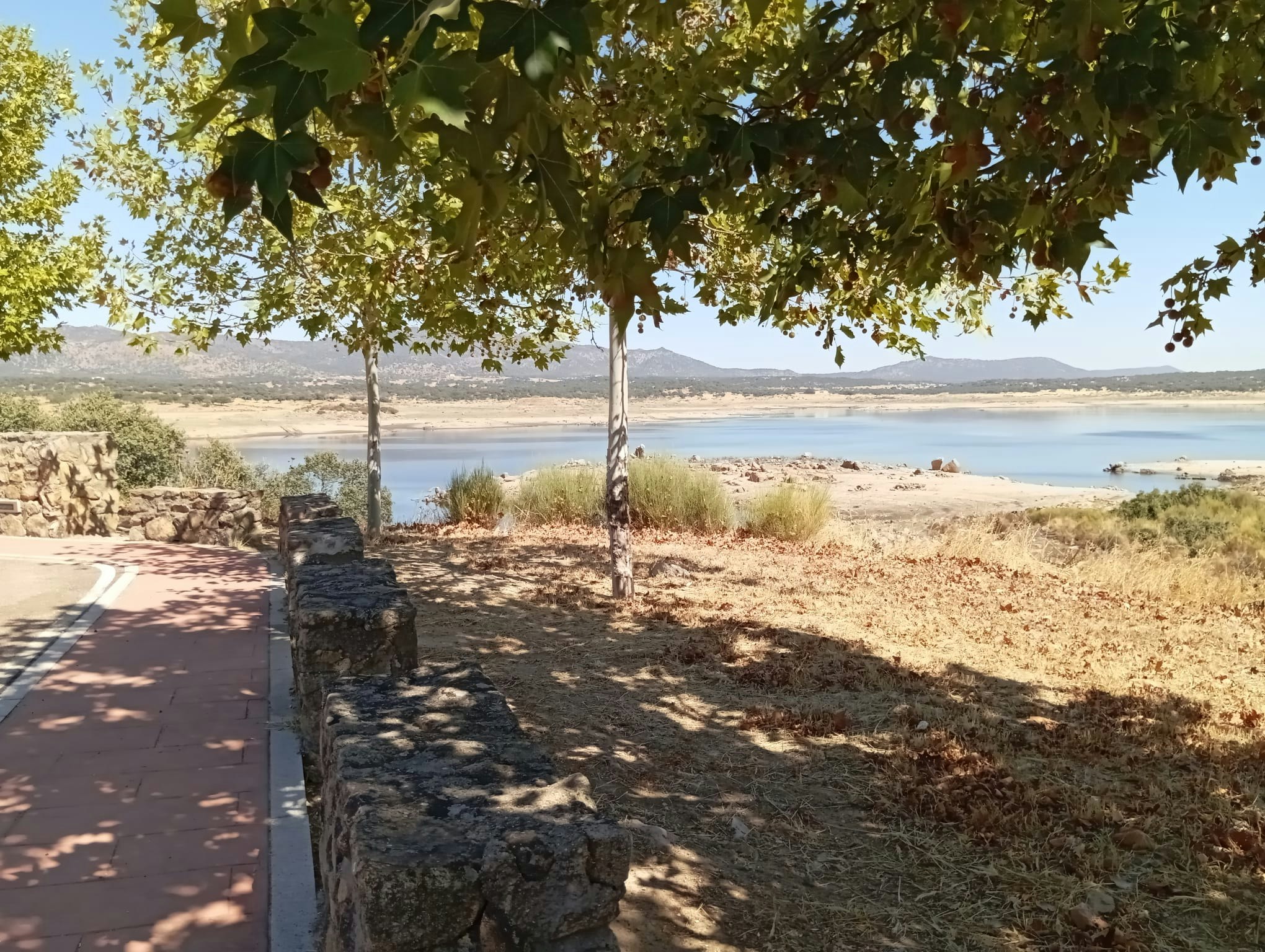 Presa del Búrdalo